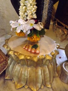 DSCF8885